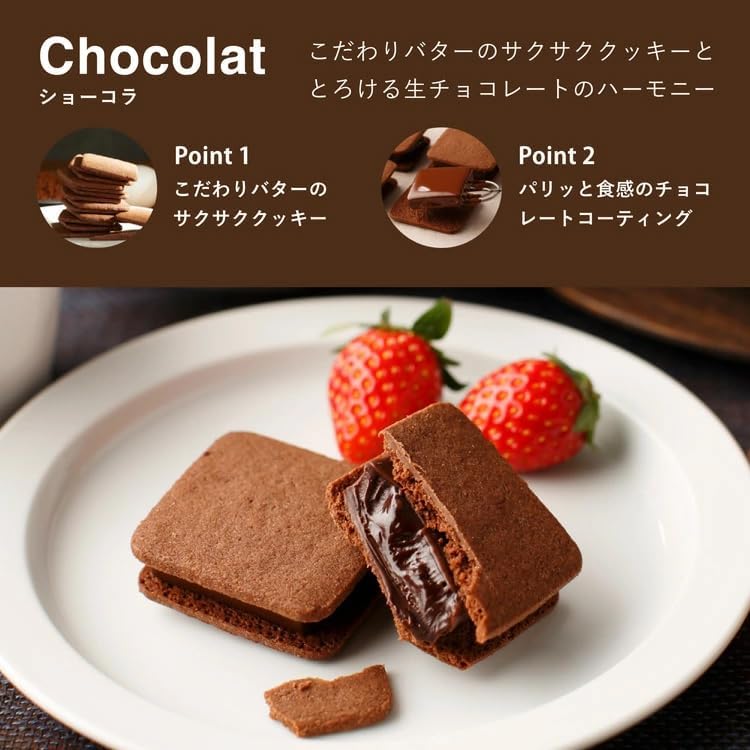 VANILLABEANS (バニラビーンズ) ショーコラ & パリトロ セット チョコレート ギフト お菓子 バレンタイン バレンタインデー (手提げ袋付き 個包装) 詰め合わせ 菓子折り お返し プレゼント 手土産 ご褒美 スイーツ チョコサンド