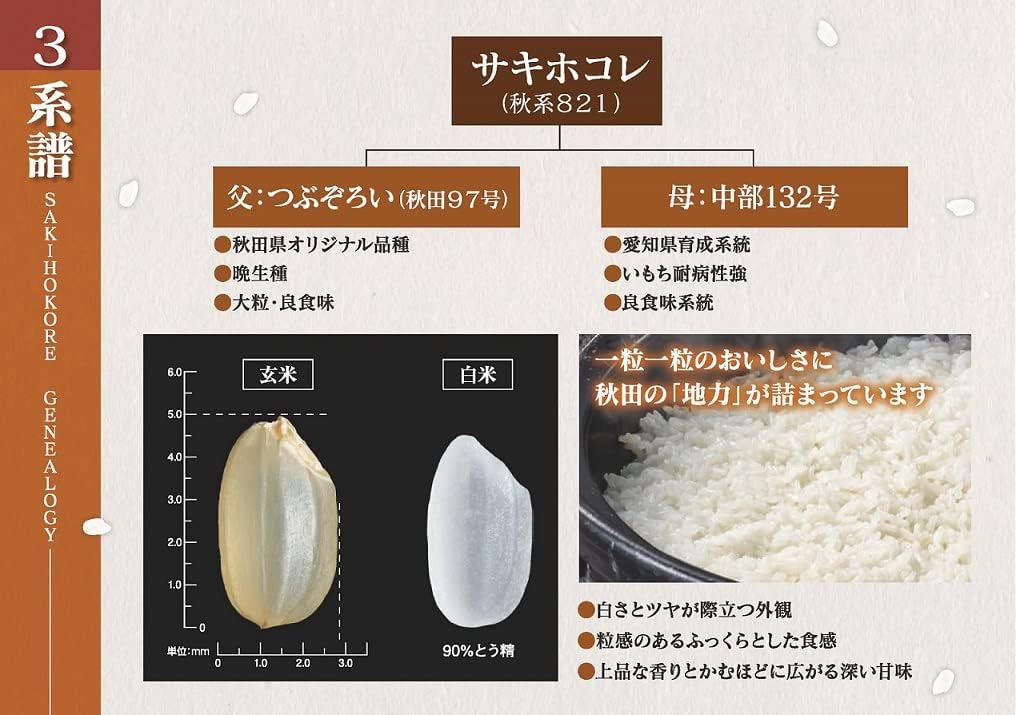 パールライス 秋田県産 白米 サキホコレ 5kg 令和7年産