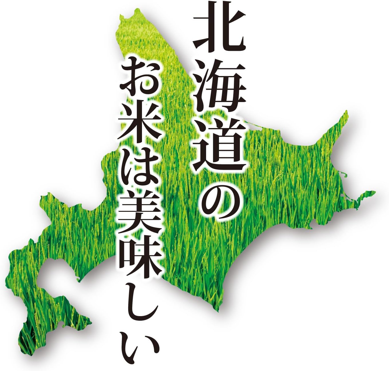 北海道産 ななつぼし 2kg(無洗米)