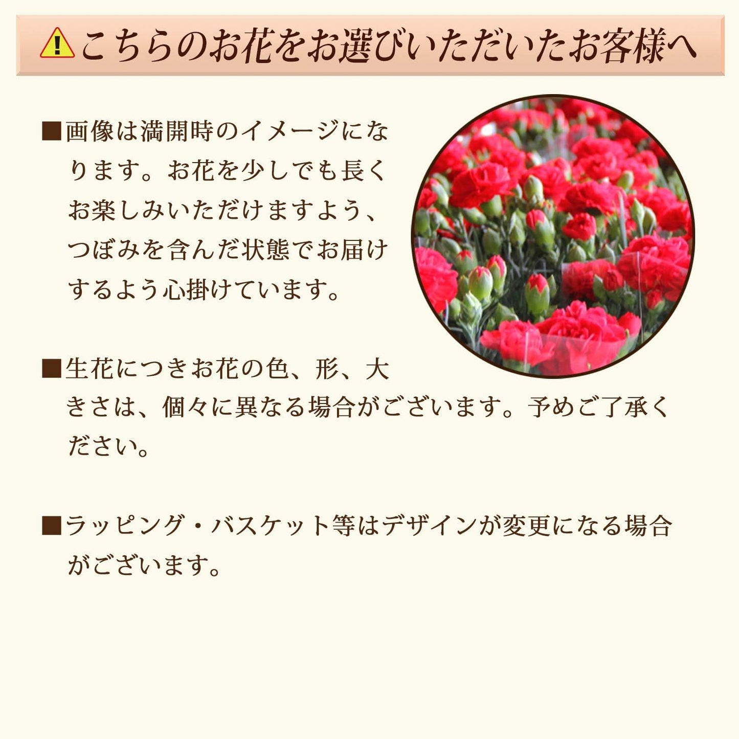 花のギフト社 母の日 花とスイーツ 花 鉢植え カーネーション 花鉢 プレゼント お菓子 スイーツ