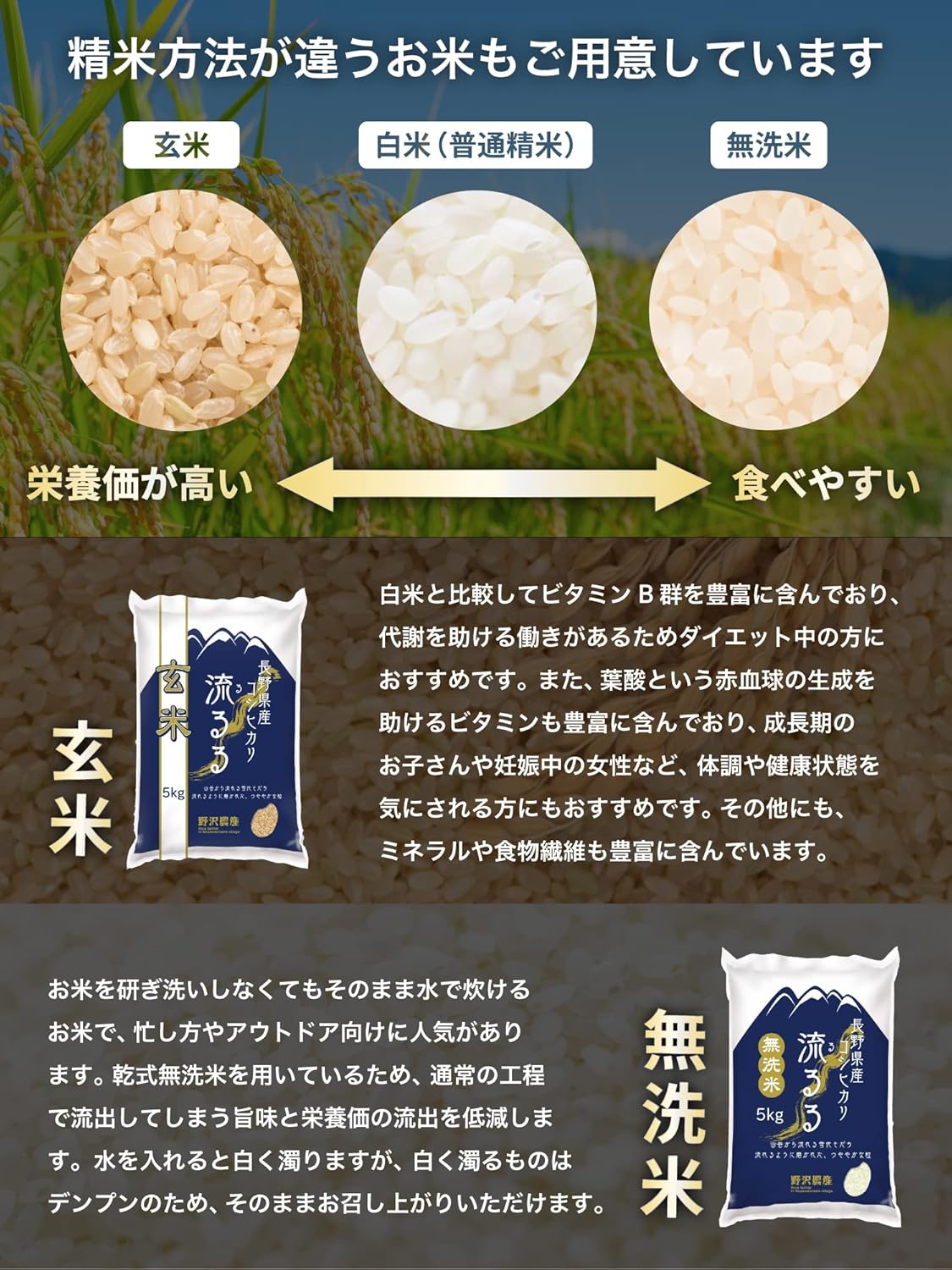 野沢農産 コシヒカリ 5kg 長野県産 令和7年産 通常精米 冷めても粒感が続くお弁当・おにぎり向け 寒暖差育ちの信州米