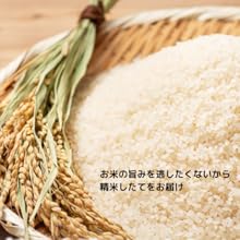 【無洗米】米 5kg 令和7年産 秋田県産 あきたこまち 厳選米 (5kg×1袋)