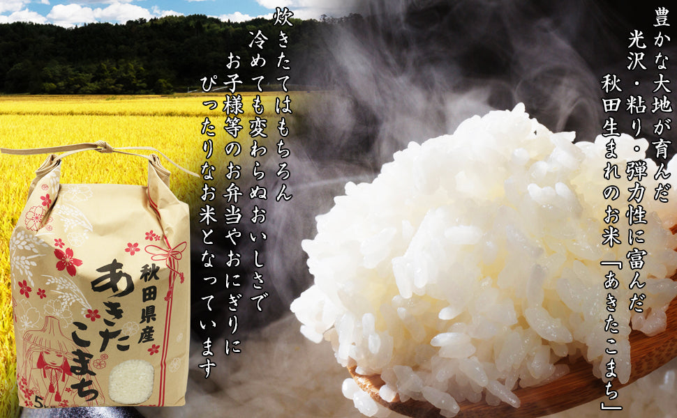 【無洗米】米 5kg 令和7年産 秋田県産 あきたこまち 厳選米 (5kg×1袋)