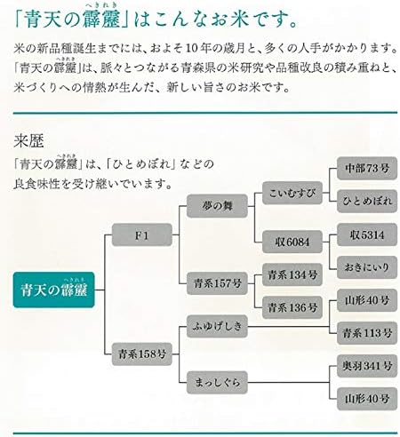パールライス 青森県産 白米 青天の霹靂 5kg 令和7年産