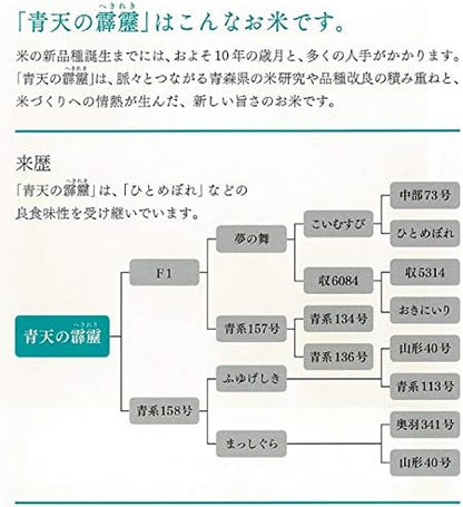 パールライス 青森県産 白米 青天の霹靂 5kg 令和7年産