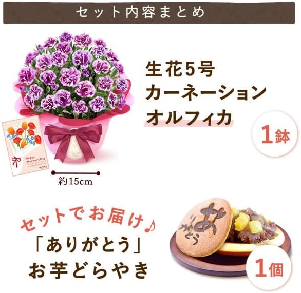 おいもや 母の日 2026 予約 プレゼント ギフト カーネーション 花 人気 鉢植え スイーツ お菓子 どら焼き オルフィカ MD