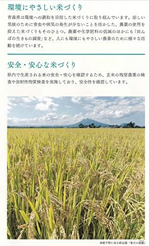 パールライス 青森県産 白米 青天の霹靂 5kg 令和7年産