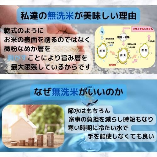 【無洗米】福島県会津産コシヒカリ 5kg 令和7年産【会津CROPS】【グラントマト】