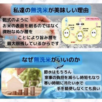 【無洗米】福島県会津産コシヒカリ 5kg 令和7年産【会津CROPS】【グラントマト】