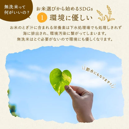 野沢農産 令和7年産 お米 長野県産 無洗米 つきあかり 5kg mybest 2026年3月受賞