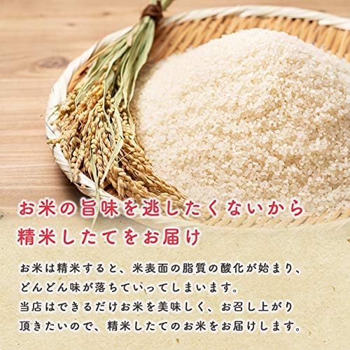 【無洗米】米 5kg 令和7年産 秋田県産 あきたこまち 厳選米 (5kg×1袋)