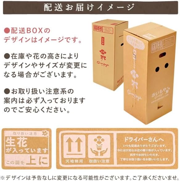 おいもや 母の日 プレゼント 2026 ギフト カーネーション 花 鉢植え スイーツ お菓子 抹茶バウムクーヘン フロランタン MD