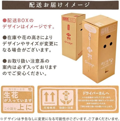 おいもや 母の日 プレゼント 2026 ギフト カーネーション 花 鉢植え スイーツ お菓子 林檎スイートポテト ホットハート MD