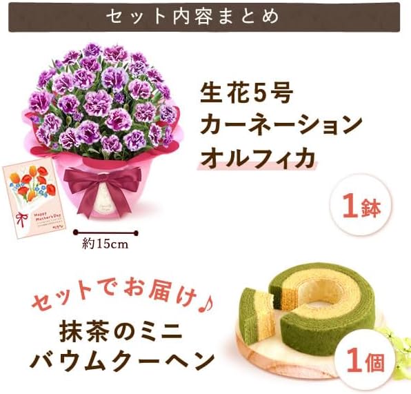 おいもや 母の日 プレゼント 2026 ギフト カーネーション 花 鉢植え スイーツ お菓子 抹茶バウムクーヘン フロランタン MD
