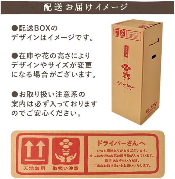 おいもや 母の日 2026 予約 プレゼント ギフト カーネーション 花 人気 鉢植え スイーツ お菓子 どら焼き オルフィカ MD