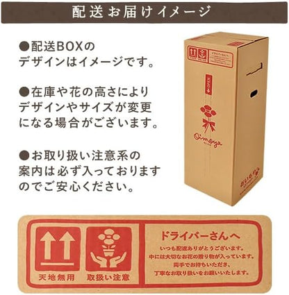 おいもや 母の日 2026 予約 プレゼント ギフト カーネーション 花 人気 鉢植え スイーツ お菓子 どら焼き オルフィカ MD
