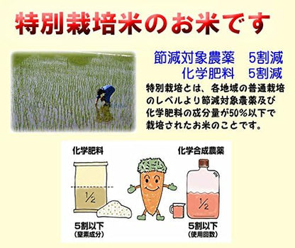 減農薬米 もち米 佐賀産 ヒヨクモチ 特別栽培米 令和7年産 5kg