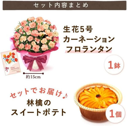 おいもや 母の日 プレゼント 2026 ギフト カーネーション 花 鉢植え スイーツ お菓子 林檎スイートポテト ホットハート MD