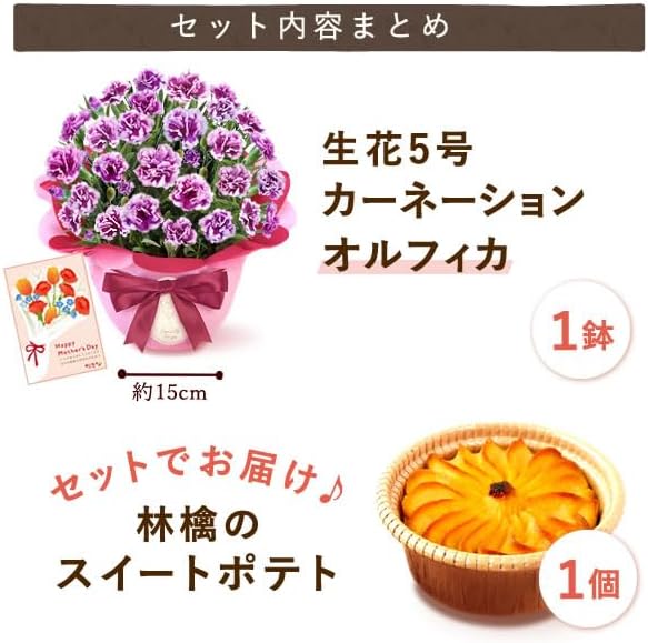 おいもや 母の日 プレゼント 2026 ギフト カーネーション 花 鉢植え スイーツ お菓子 林檎スイートポテト ホットハート MD