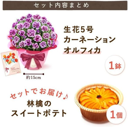 おいもや 母の日 プレゼント 2026 ギフト カーネーション 花 鉢植え スイーツ お菓子 林檎スイートポテト ホットハート MD