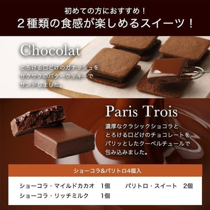 VANILLABEANS バニラビーンズ ショーコラ&パリトロセット 4個入(春仕様包装紙) 手提げ袋付き 個包装 春ギフト チョコレート ギフト プレゼント 手土産 ご褒美 スイーツ チョコサンド