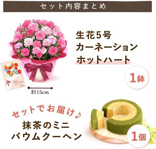 おいもや 母の日 プレゼント 2026 ギフト カーネーション 花 鉢植え スイーツ お菓子 抹茶バウムクーヘン フロランタン MD