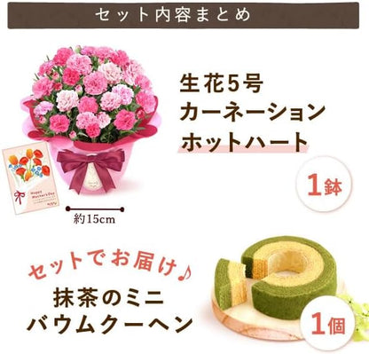 おいもや 母の日 プレゼント 2026 ギフト カーネーション 花 鉢植え スイーツ お菓子 抹茶バウムクーヘン フロランタン MD