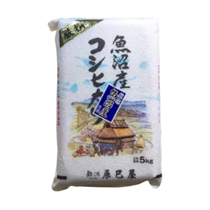 [精米] 新潟県産 北魚沼産 (旧広瀬・守門村) コシヒカリ 5kg 白米 新潟辰巳屋 令和7年産