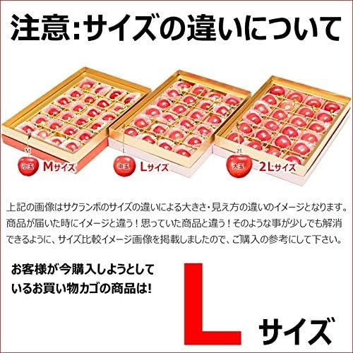 竹城青果 母の日 ぴったり！山形県産 さくらんぼ 佐藤錦 プレミアムボックス Mサイズ