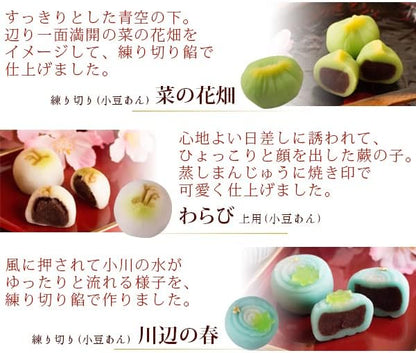 風味絶佳.山陰 母の日のプレゼント 人気 母の日ギフト スイーツ 和菓子 四季の十二撰 ひとくち上生菓子詰合せ（風呂敷包み） 春季限定 お菓子 高級 食べ物 50代 60代 70代 80代