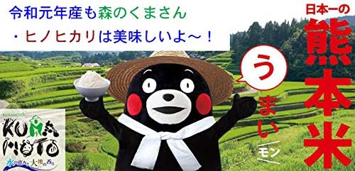 森のくまさん 減農薬米 【 白米 】 令和7年産 熊本産 特別栽培米 JAうき 10kg (5kg×2袋) 白米精米 (精米後約4.5k×2)