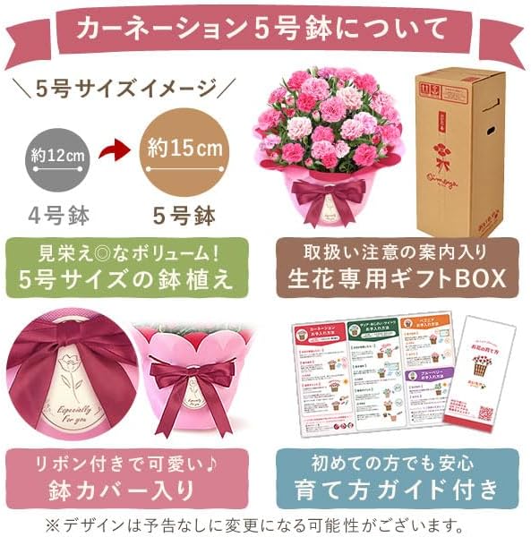 おいもや 母の日 プレゼント 2026 ギフト カーネーション 花 鉢植え スイーツ お菓子 林檎スイートポテト ホットハート MD