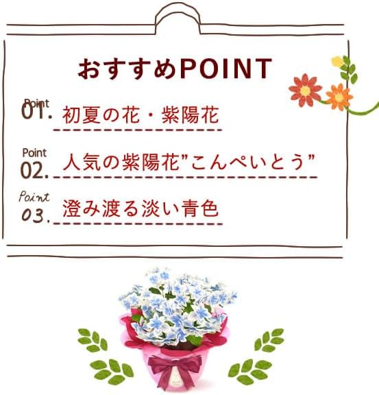 おいもや 母の日 2026 予約 ギフト 花 プレゼント 鉢植え 5号 人気 お菓子 スイーツ 紫陽花 あじさい こんぺいとう 水色 MD