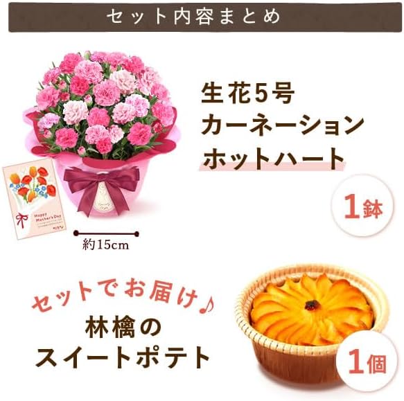 おいもや 母の日 プレゼント 2026 ギフト カーネーション 花 鉢植え スイーツ お菓子 林檎スイートポテト ホットハート MD