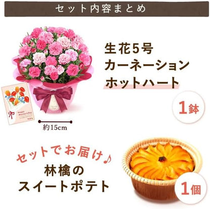 おいもや 母の日 プレゼント 2026 ギフト カーネーション 花 鉢植え スイーツ お菓子 林檎スイートポテト ホットハート MD