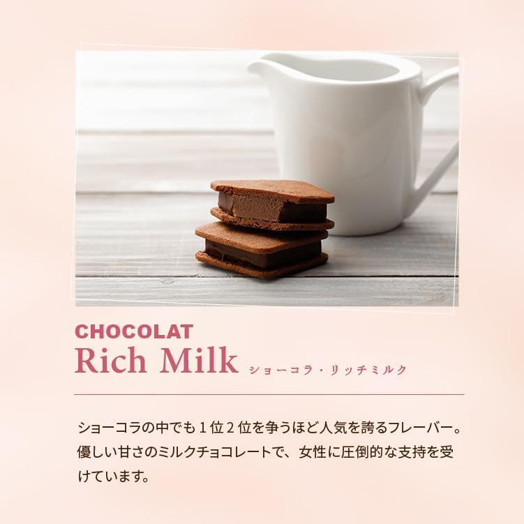 VANILLABEANS (バニラビーンズ) ショーコラ & パリトロ セット チョコレート ギフト お菓子 バレンタイン バレンタインデー (手提げ袋付き 個包装) 詰め合わせ 菓子折り お返し プレゼント 手土産 ご褒美 スイーツ チョコサンド