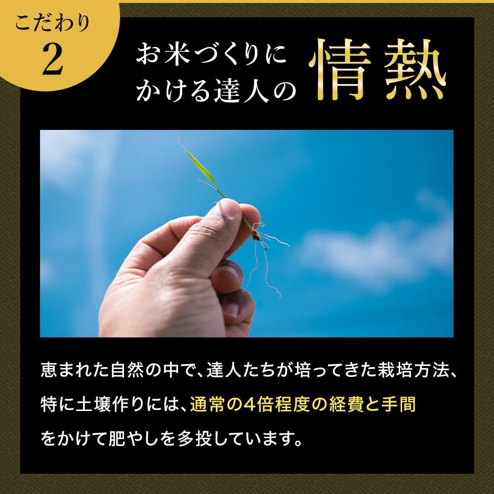 令和7年産 魚沼産コシヒカリ「雪椿」 5㎏ 特別栽培米 極上 ミシュラン店御用達 減農薬栽培【雪椿米 5㎏】