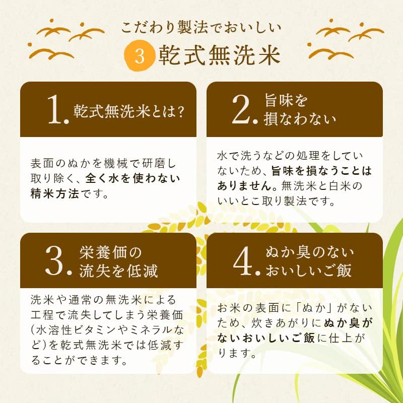 野沢農産 新米 令和7年産 お米 長野県産 無洗米 (5kg, ミルキークイーン)