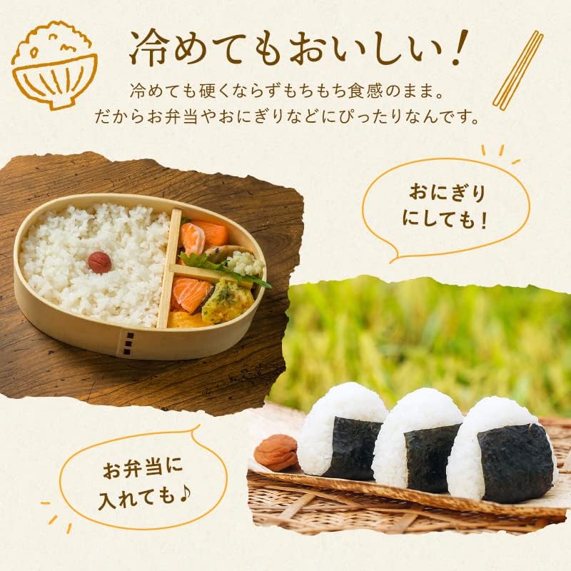 野沢農産 新米 令和7年産 お米 長野県産 無洗米 (5kg, ミルキークイーン)