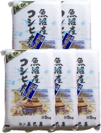 [精米] 新潟県産 北魚沼産 (旧広瀬・守門村) コシヒカリ 5kg 白米 新潟辰巳屋 令和7年産