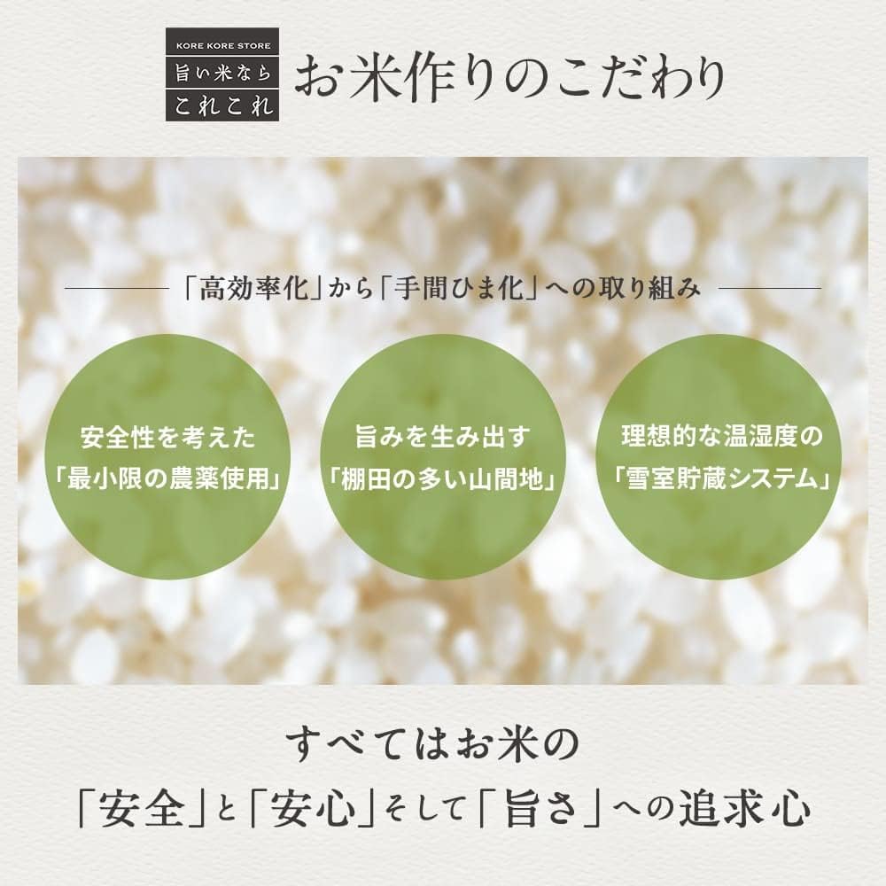 米 5kg 新潟県産 コシヒカリ 令和7年産｜雪室保管・精米したて｜粒感しっかり 冷めてもおいしい お米 こしひかり｜旨い米なら、これこれ