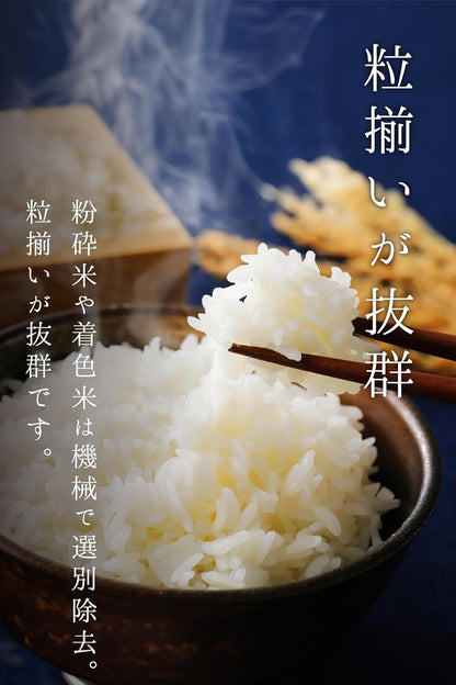 農業生産法人ワタナベ 令和7年産 無洗米 5kg お米 【 大粒 で冷めても美味しい 甘み旨み粒しっかり 】 栃木県 新ブランド とちぎの星 米 おこめ/ 5kg×1袋