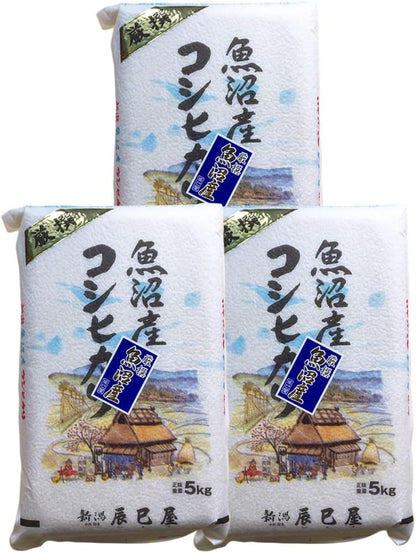 [精米] 新潟県産 北魚沼産 (旧広瀬・守門村) コシヒカリ 5kg 白米 新潟辰巳屋 令和7年産