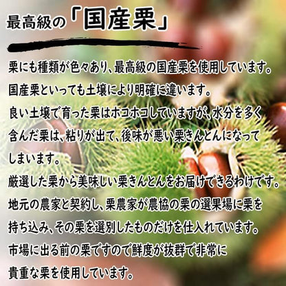 和菓子 ギフト 詰め合わせ 人気 お取り寄せ スイーツ セット 岐阜中津川 栗100％ 栗きんとん 5個 栗柿 5個 風呂敷包 くり屋南陽軒