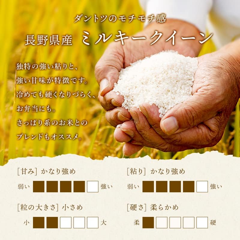 野沢農産 新米 令和7年産 お米 長野県産 無洗米 (5kg, ミルキークイーン)