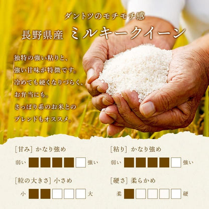 野沢農産 新米 令和7年産 お米 長野県産 無洗米 (5kg, ミルキークイーン)