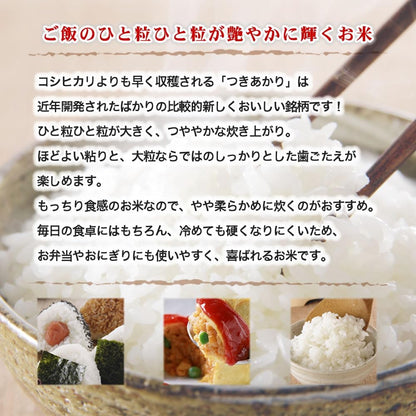 令和7年産 新潟産 つきあかり 5kg