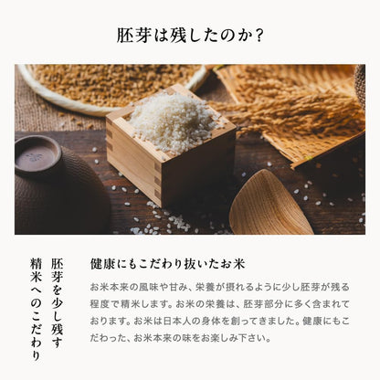 こめたつ 7年産 国内産 ちょっぴりセレブなコシヒカリ 白米 (10kg（白米5kg×2袋）)