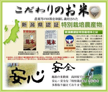 精白米 5kg 昔ながらの新潟産こしひかり 令和7年産 安心安全な特別栽培米