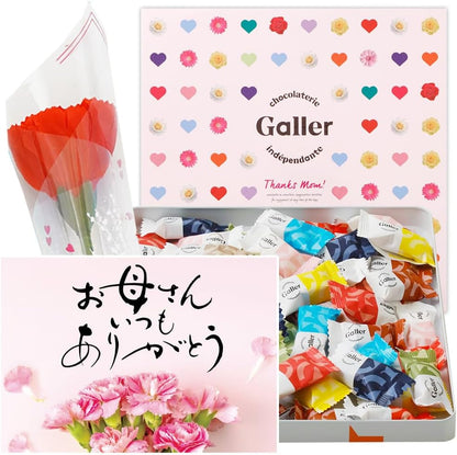 母の日 ギフト ガレー Galler チョコレート ベルギー王室御用達 ナノバー 30個入り 食べ物 お菓子 スイーツ 高級 ギフトカード 間違い探し 手さげ袋付き